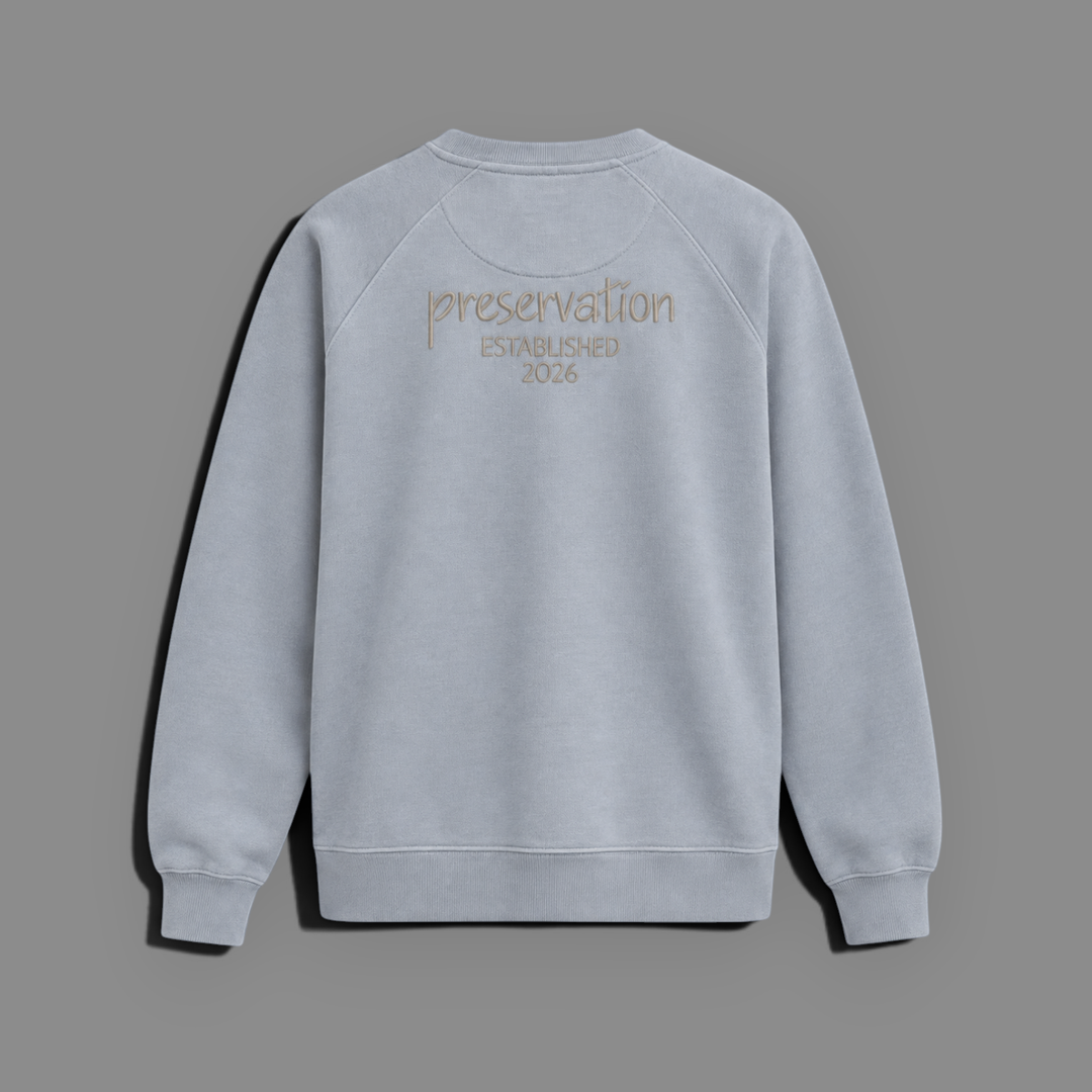 area 609 organic French terry crewneck sweatshirt in light blue with back embroidery detail